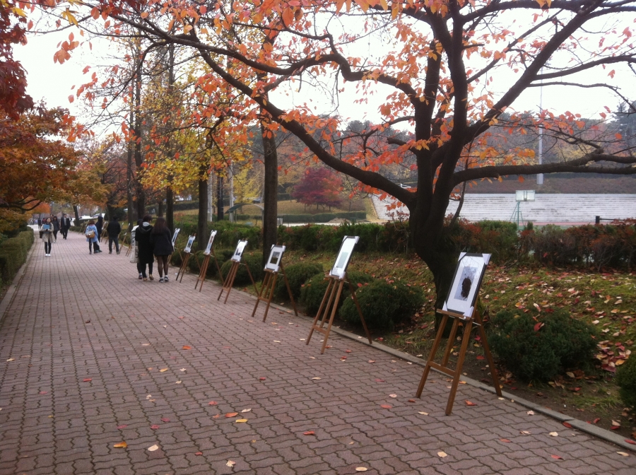 단국대학교 천안캠퍼스 사진동아리 시실리 거리전시전